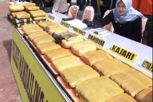 Mengerikan! Ratusan Kg Ganja Diselundupkan dari Madina untuk Pesta Tahun Baru