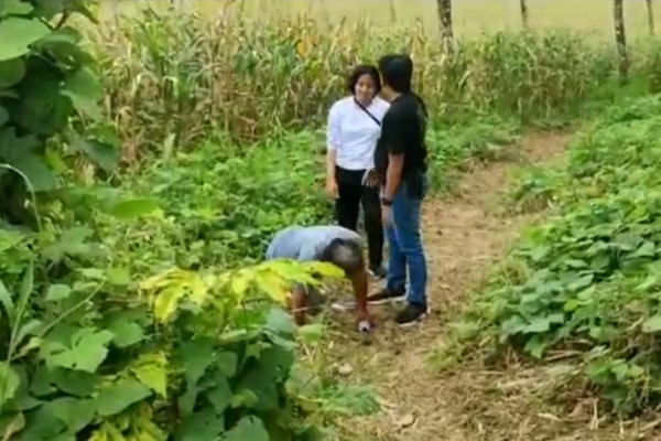 Aksi Perwira Polwan Cantik Obrak-abrik Lokasi Sabung Ayam di Manado