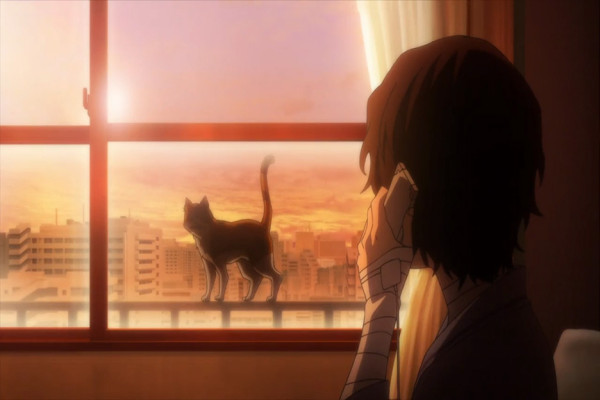Profil Lengkap 10+ Karakter Utama Anime Bungou Stray Dogs