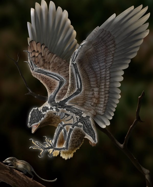 Hewan Ini Bentuknya Mirip Burung, tapi Anehnya Punya Tulang Dinosaurus