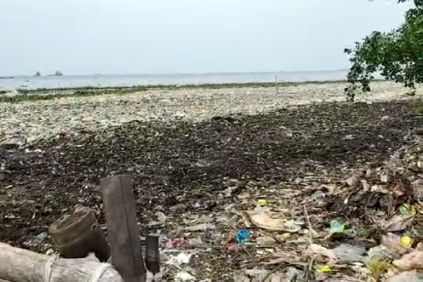 Kerja Keras! Pembersihan Lautan Sampah di Marunda Pakai Alat Manual