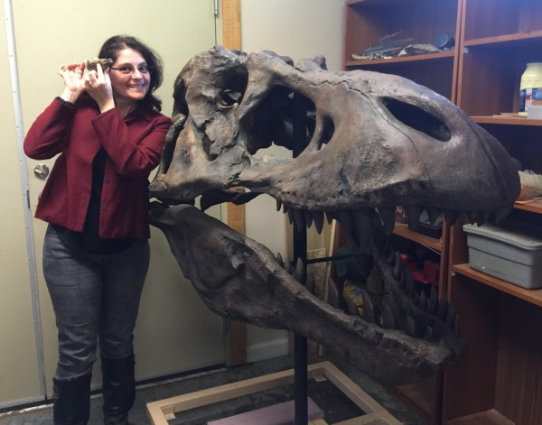 T-Rex Diduga Punya Otak Cerdas Melebihi Dugaan Manusia, Bisa Bangun Kebudayaan