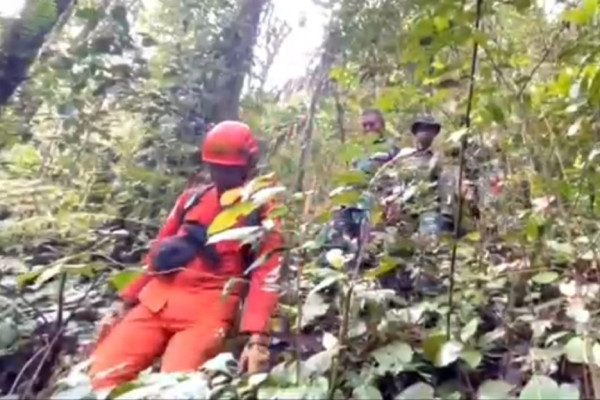 Madina Gempar! 3 Warga Hilang Misterius di Bukit Barisan, Diduga Dimangsa Harimau