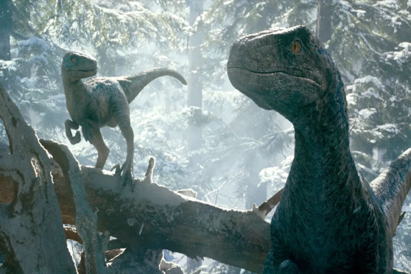 10 Film Populer Ini Dibenci Kritikus, tapi Laku di Box Office