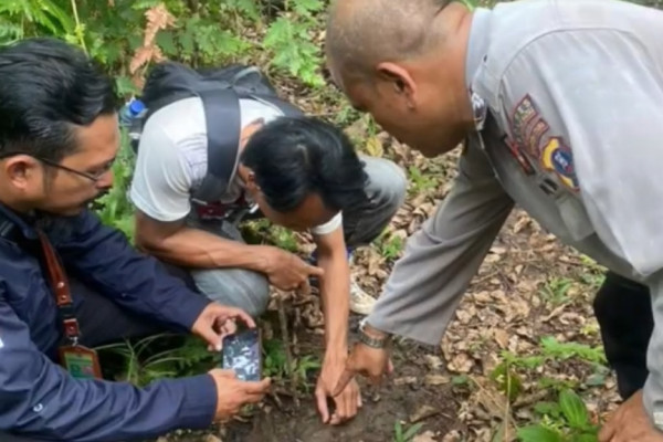 3 Warga Madina Hilang Misterius di Bukit Barisan, Tim Gabungan Temukan Jejak Harimau