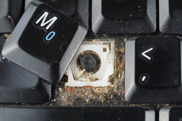 Cara Mengatasi Laptop Kemasukan Semut, Lakukan 8 Langkah Ini!