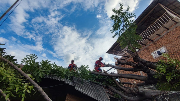 Angin Kencang, Pohon Tumbang Timpa Rumah Warga di Cakung