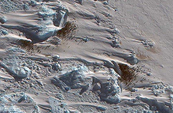 Koloni Penguin Kaisar yang Tersembunyi di Antartika Terungkap Foto Satelit
