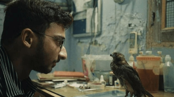 15 Film Nominasi Oscar 2023 yang Bisa Ditonton di Platform Streaming Legal