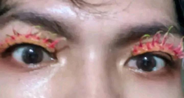 Unik! Seorang Pria Sulap Kulit Rambutan Jadi Bulu Mata Palsu yang Indah