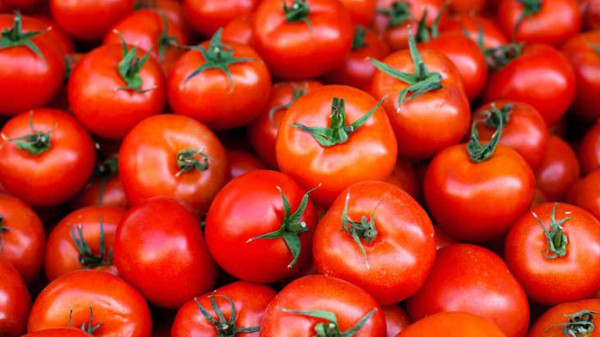 6 Makanan untuk Meningkatkan Kesuburan Pria dan Wanita, Bantu Cepat Hamil