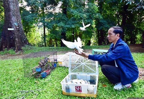 5 Pejabat yang Hobi Pelihara Burung, Gubernur hingga Presiden