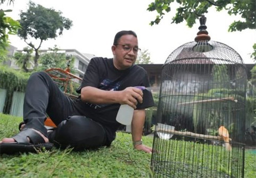 5 Pejabat yang Hobi Pelihara Burung, Gubernur hingga Presiden