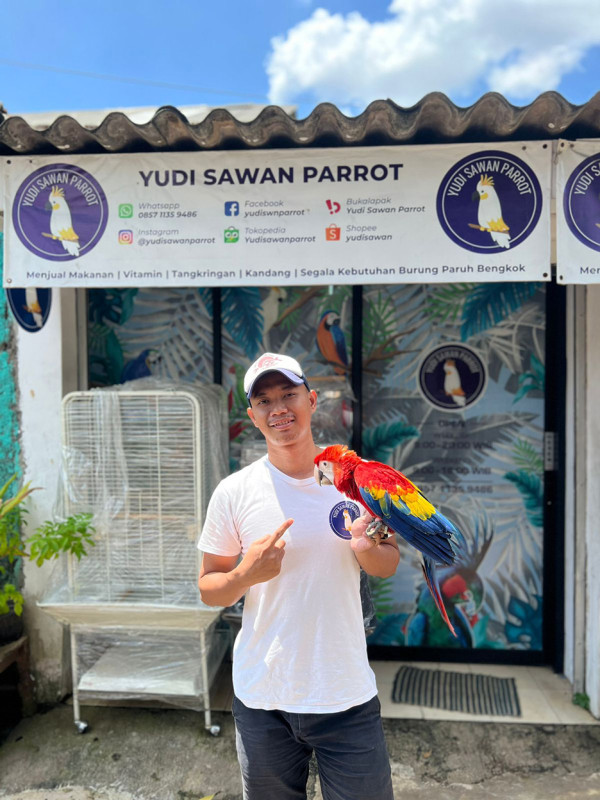 Kisah Penghobi Burung yang Menjadi Pengusaha Parrot Sukses Beromzet Ratusan Juta