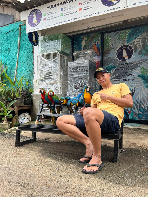 Kisah Penghobi Burung yang Menjadi Pengusaha Parrot Sukses Beromzet Ratusan Juta