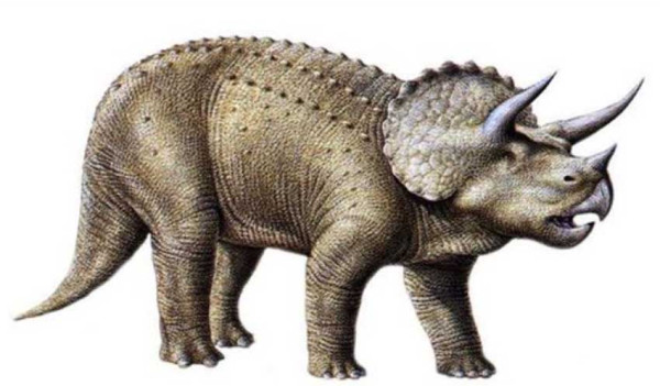 5 Dinosaurus Pemakan Tumbuhan, Nomor 4 Punya Tubuh Lapis Baja