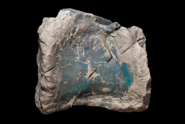 5 Negara Tempat Penemuan Fosil Dinosaurus, Nomor Terakhir Ditemukan Tulang Megalosaurus