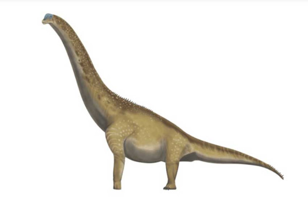 5 Dinosaurus Pemakan Tumbuhan, Nomor 4 Punya Tubuh Lapis Baja