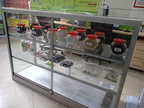 Lihat dari Dekat Kontribusi Ajinomoto untuk Kurangi Dampak Lingkungan lewat Penerapan Bisnis Berkelanjutan
