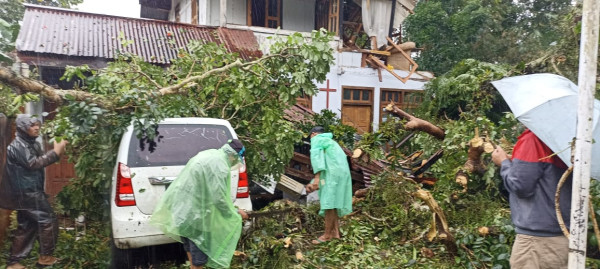 Waspada! Cuaca Ekstrem Landa Sulut, Banyak Pohon Bertumbangan