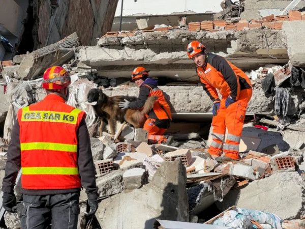 Kisah Anjing-anjing Pahlawan Pencari Korban Gempa Turki dan Suriah