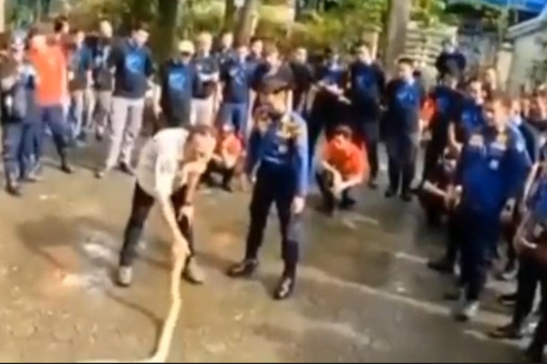 Tragis! Pawang Ular Tewas Digigit King Cobra saat Pelatihan, Begini Kronologinya