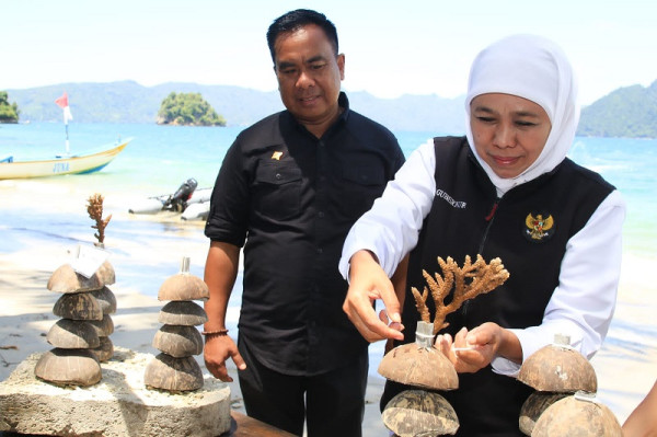 Jatim Masuki Era Blue Economy, Gubernur Khofifah dan Bupati Trenggalek Tanam Terumbu Karang dan Apartemen Ikan
