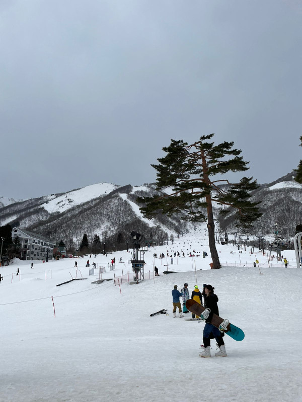 Desa Hakuba Surga Indah di Jepang Bagi Pecinta Olahraga Ski