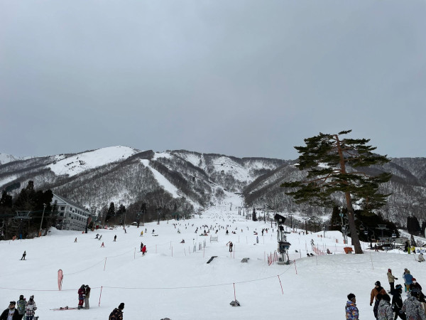 Desa Hakuba Surga Indah di Jepang Bagi Pecinta Olahraga Ski