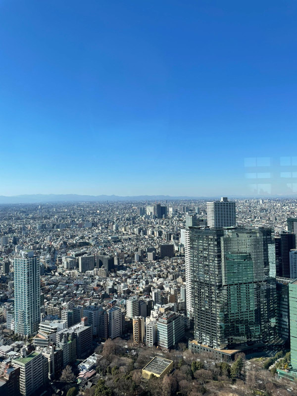 Melihat Gunung Fuji dari Lantai 45 Gedung Pemerintahan Tokyo Metropolitan
