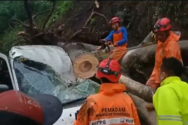 Jalur Trenggalek-Ponorogo Diterjang Longsor, 2 Mobil Rusak Berat