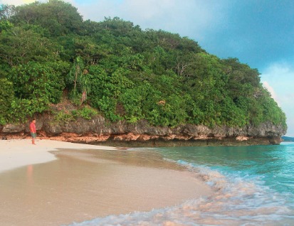 7 Wisata Bahari di Sulawesi Tenggara, Nomor 6 Ada Spesies Tanaman Laut Terbesar di Dunia