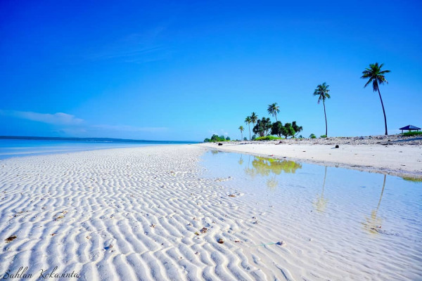7 Wisata Bahari di Sulawesi Tenggara, Nomor 6 Ada Spesies Tanaman Laut Terbesar di Dunia