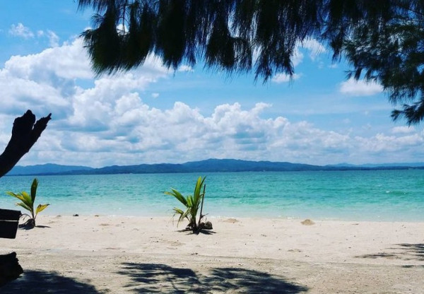 7 Wisata Bahari di Sulawesi Tenggara, Nomor 6 Ada Spesies Tanaman Laut Terbesar di Dunia