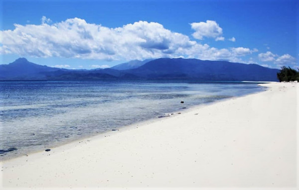 7 Wisata Bahari di Sulawesi Tenggara, Nomor 6 Ada Spesies Tanaman Laut Terbesar di Dunia