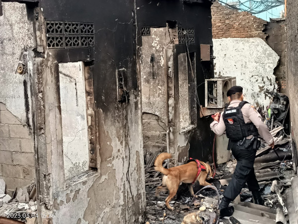 Anjing Pelacak Dikerahkan Cari Korban Kebakaran Depo Pertamina Plumpang