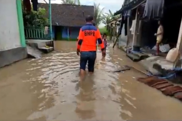 Bengawan Solo Meluap, 195 Rumah di Lamongan Terendam