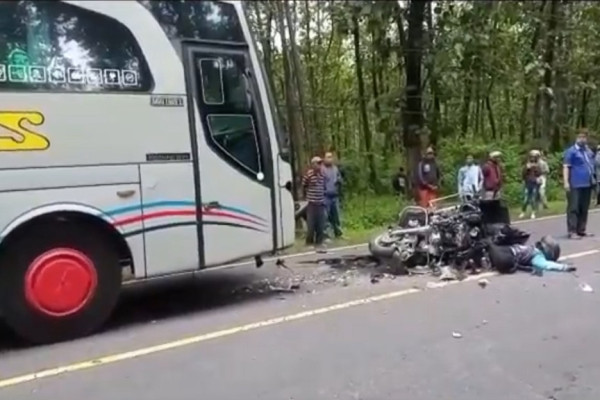 Ngebut di Pantura Situbondo, Pengendara Moge Harley Davidson Tewas Tabrak Bus