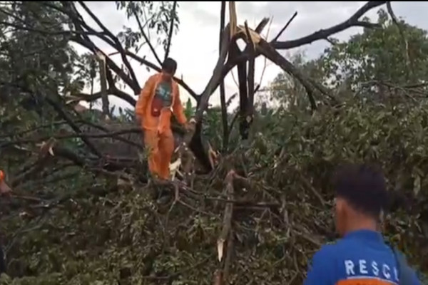 Diterjang Angin Puting Beliung, Pohon Tumbang Tutup Jalur Kereta Api dan Puluhan Rumah Rusak