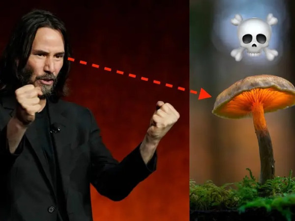 Tangguh Seperti John Wick Bakteri Pembunuh Jamur ini Dinamai Keanu Reeves