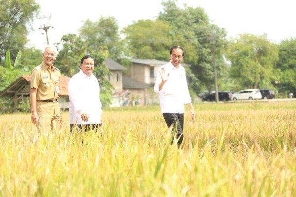 Usai Panen Bersama Presiden, Mentan SYL Canangkan Percepatan Tanam