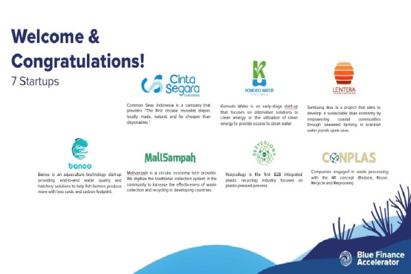 12 Startup dan UKM Sektor Biru Terpilih dalam Program UNDP
