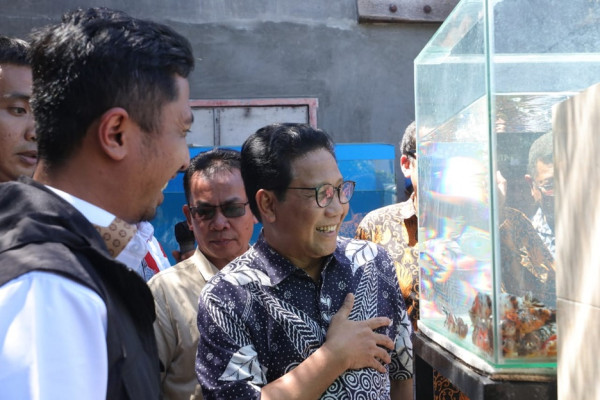 Jos! Desa Sejahtera Astra Wajak Lor Lepas Ekspor Ikan Hias Rp1,8 Miliar ke 3 Negara