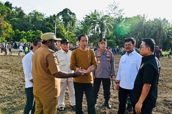 Jokowi di Papua, Kick Off Food Estate Siapkan Lahan Jagung 10 Ribu Hektare