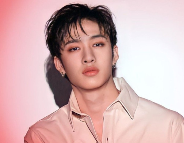 Profil 8 Member Stray Kids, Lengkap dengan Faktanya