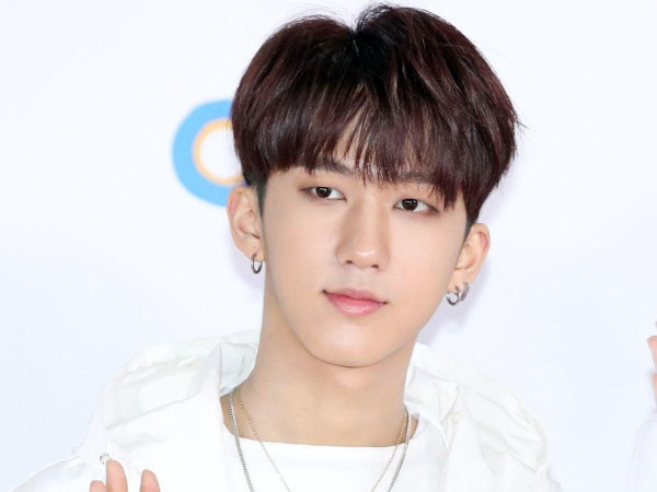 Profil 8 Member Stray Kids, Lengkap dengan Faktanya
