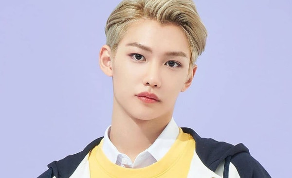 Profil 8 Member Stray Kids, Lengkap dengan Faktanya