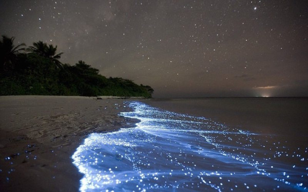 Deretan Pantai dengan Keindahan Menawan, Salah Satunya Ada di Indonesia