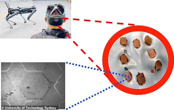 Tentara Australia Uji Coba Robot Anjing Pembunuh yang Dikontrol Otak