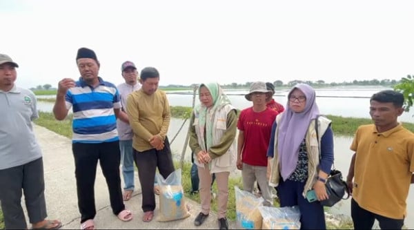 Bantuan Benih Kementan Mulai Diterima, Ketua KTNA Desa Sukakarya: Bagus dan Berkulitas